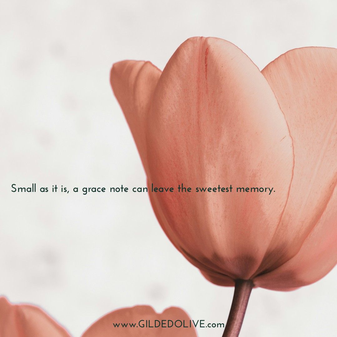 Close-up of a pink flower with text on a light background.