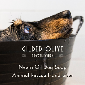 Animal Shelter Fundraiser Natural Dog Soap