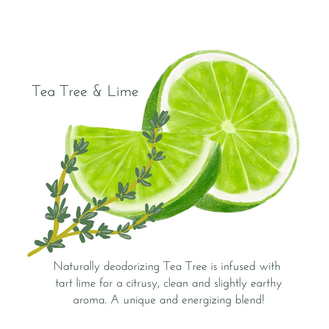 Tea Tree & Lime Scent Description Handmade Soap