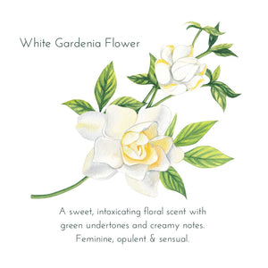 White Gardenia Flower Scent Notes Graphic