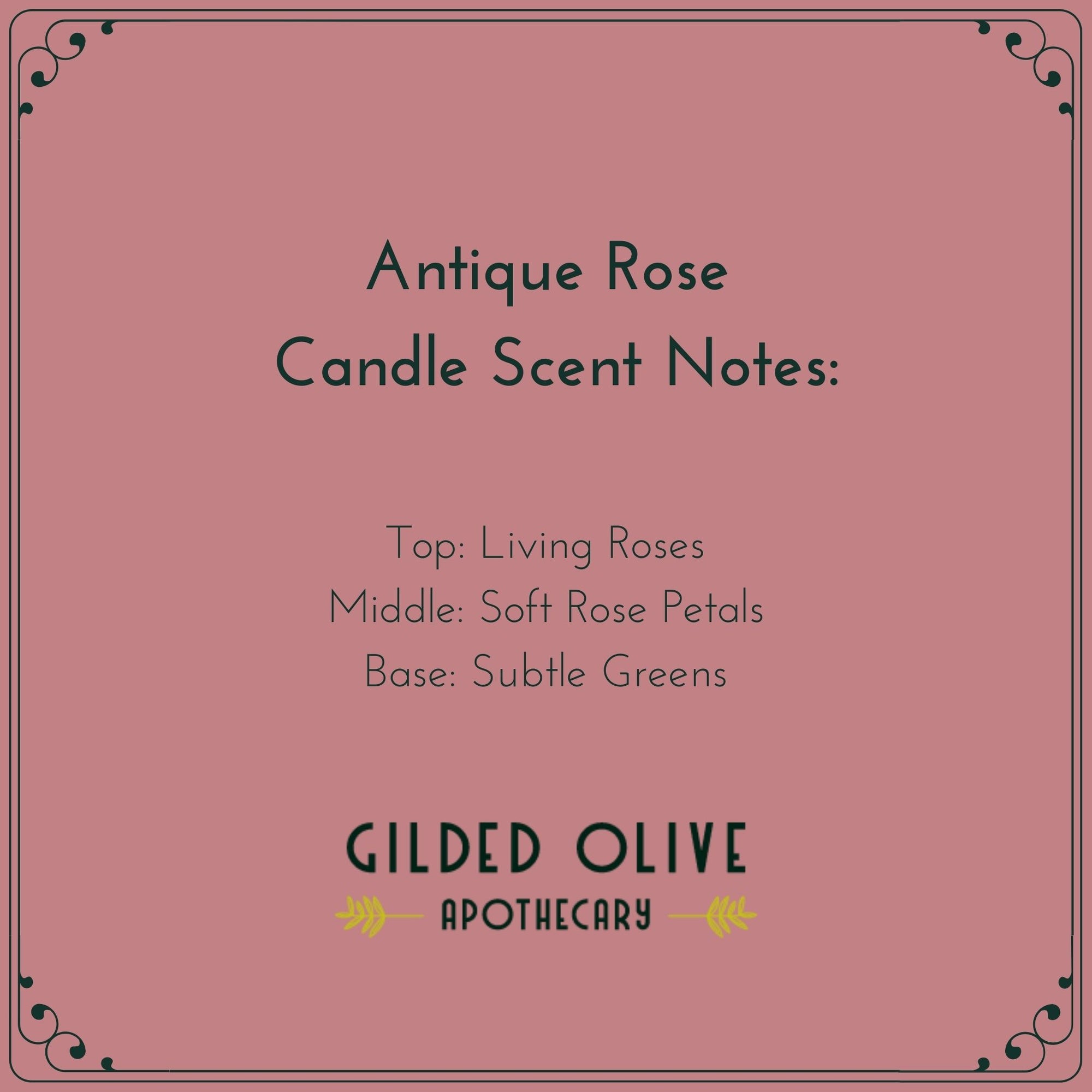 Antique Rose Scent Description | Gilded Olive Apothecary