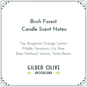Birch Forest Soy Candle | Gilded Olive Apothecary
