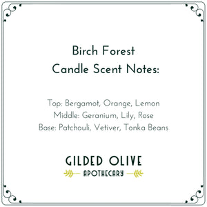 Birch Forest Soy Candle | Gilded Olive Apothecary