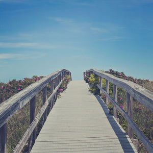 Ocean Boardwalk | Gilded Olive Apothecary 