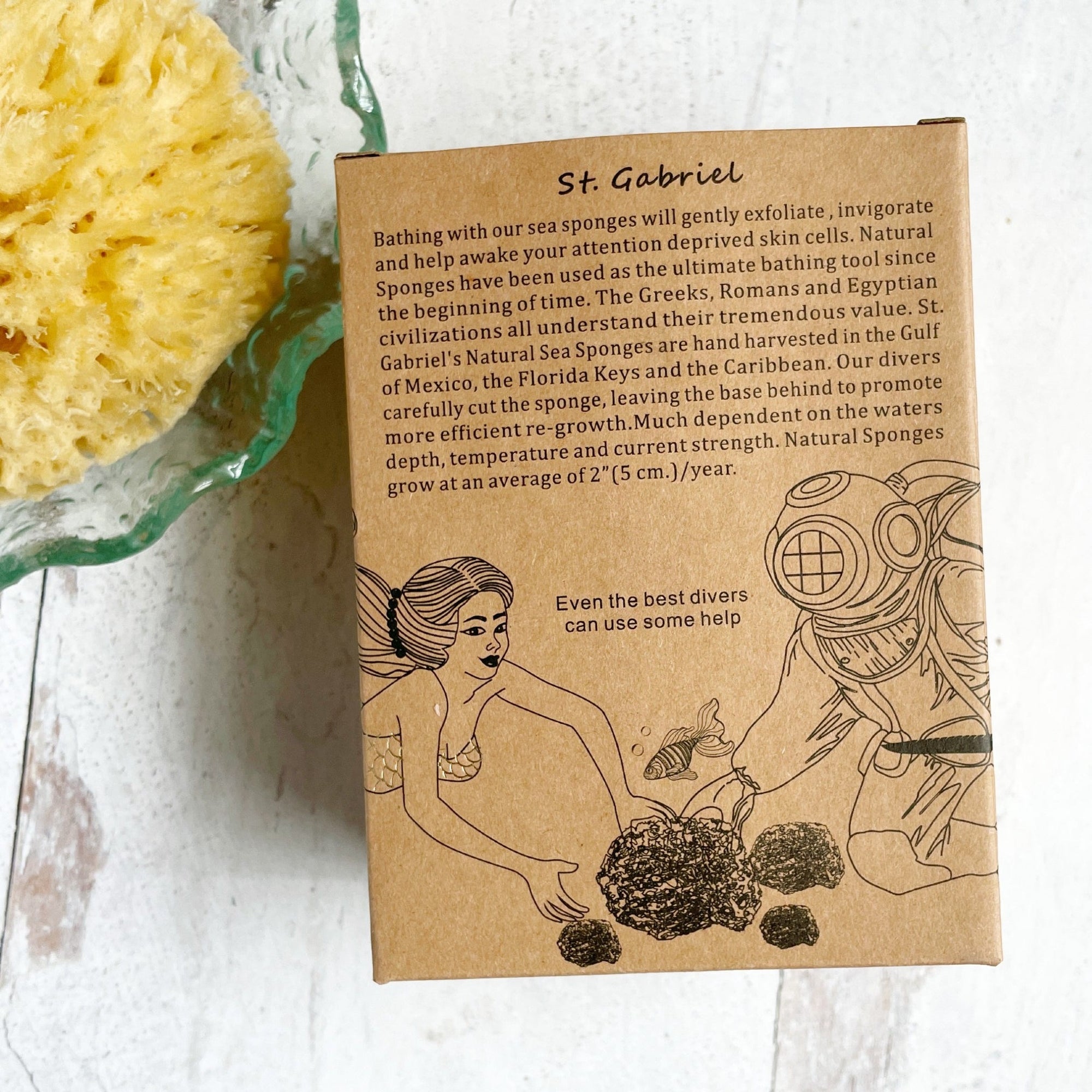 Natural Sea Wool Sponge | Gilded Olive Apothecary