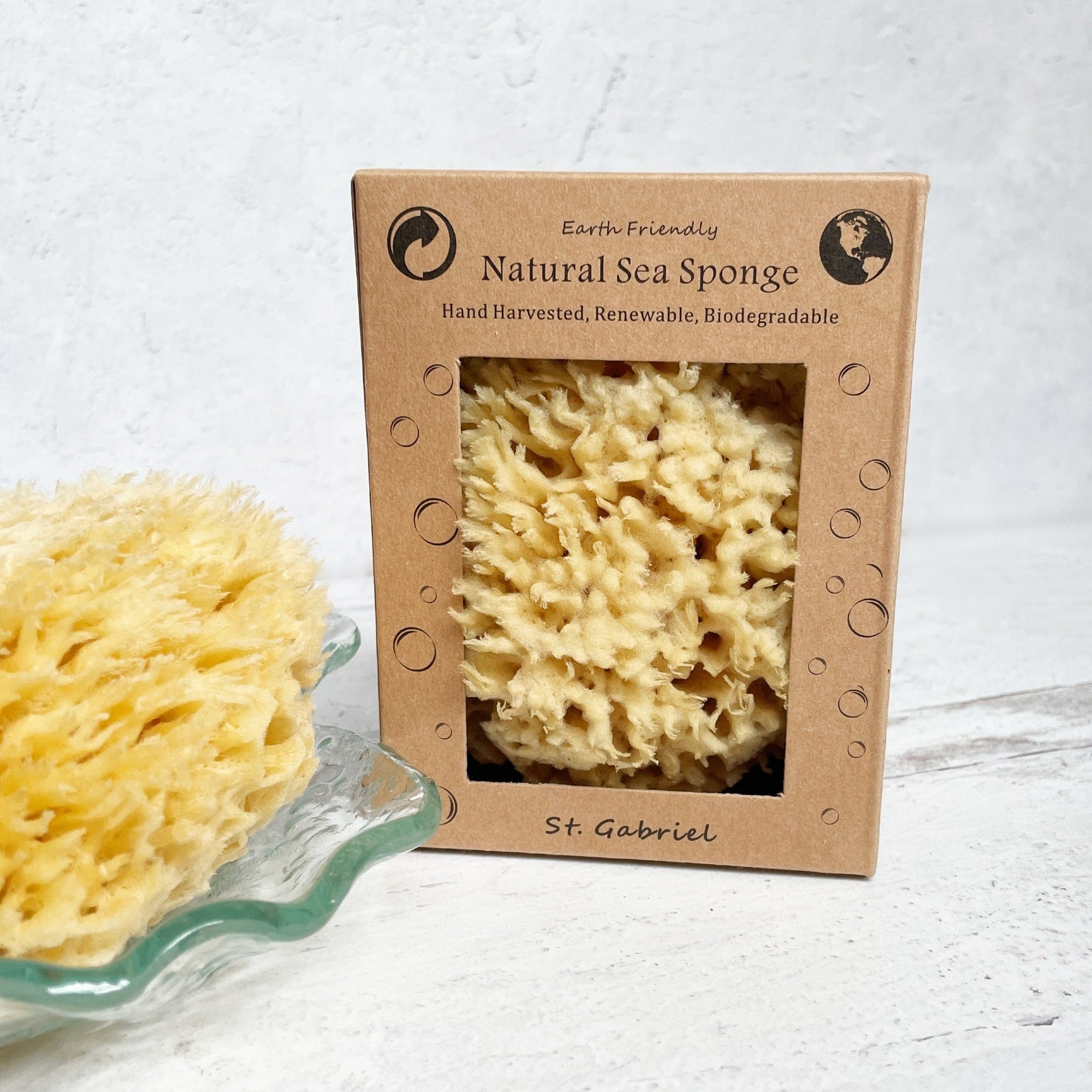 Natural Wool Sea Sponge | Gilded Olive Apothecary